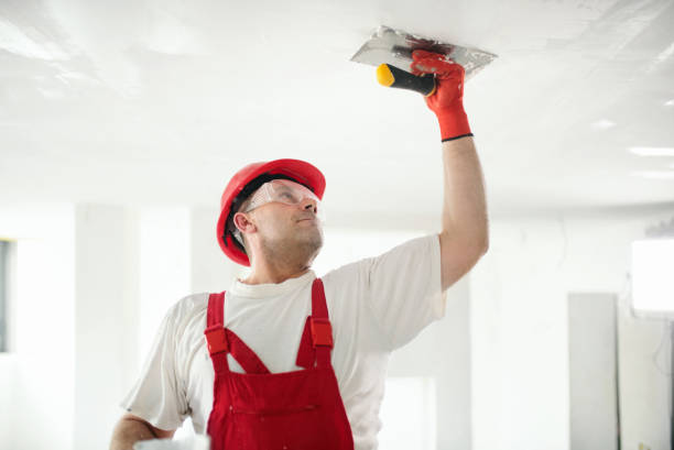 Trusted Griggsville, IL Dry wall and painting Experts